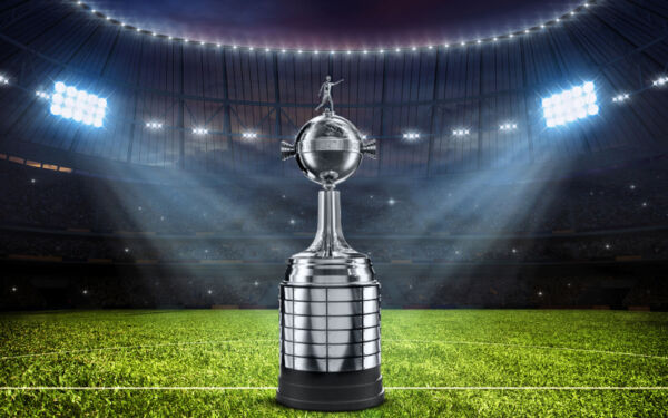 Pacote para Final da Libertadores 2025 em Lima Torcedor comemorando na Final da Libertadores em Lima